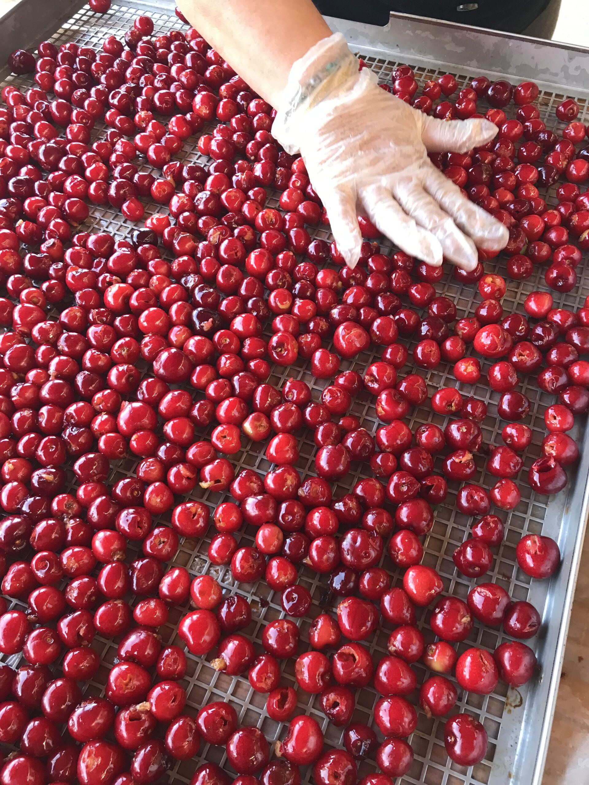 Cerises-Mas-Py-02