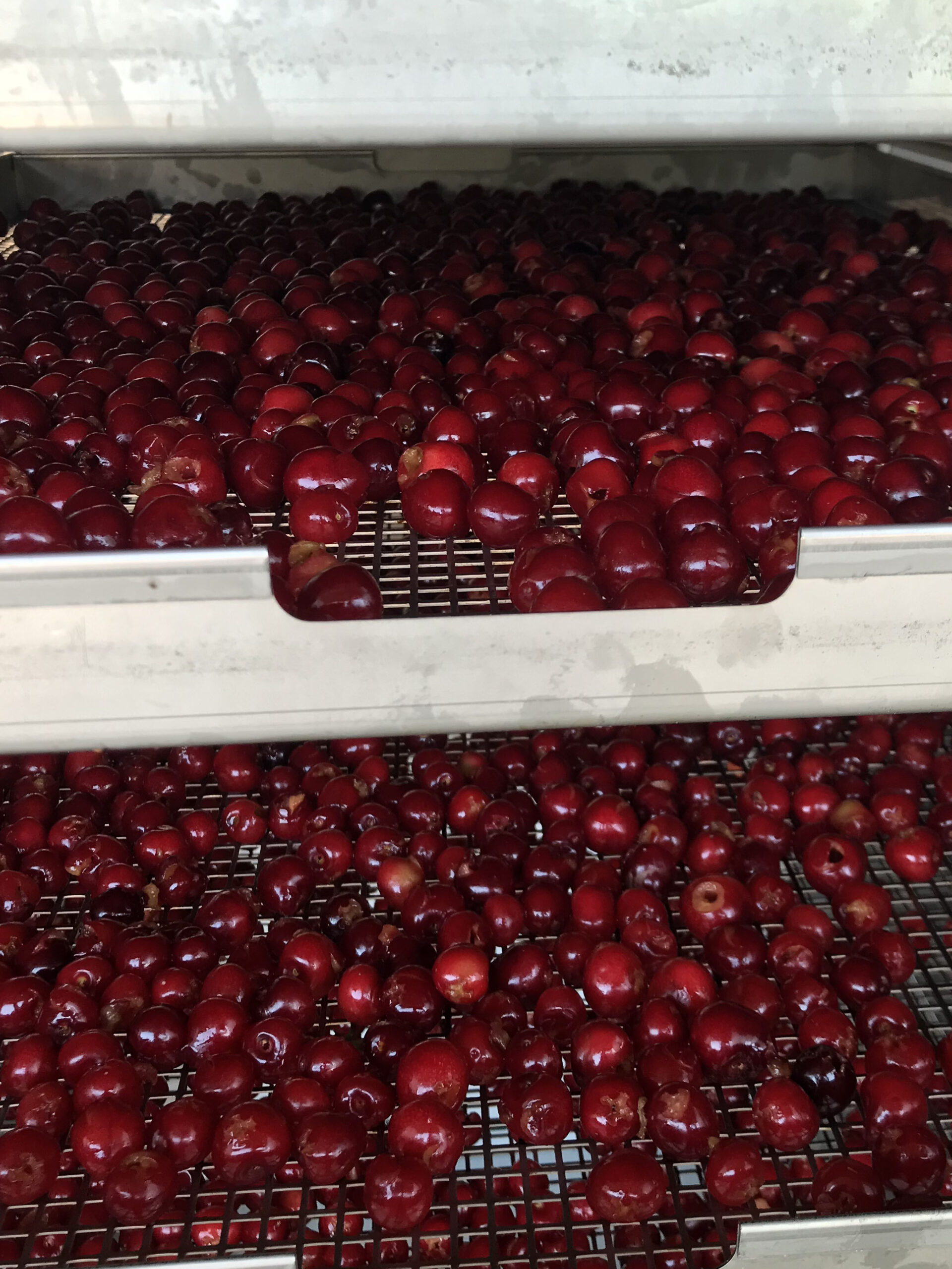Cerises-Mas-Py-03